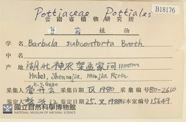 狹葉扭口蘚藏品圖，第2張