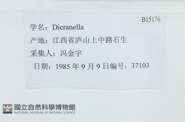 登錄號:B00015176藏品圖，第2張