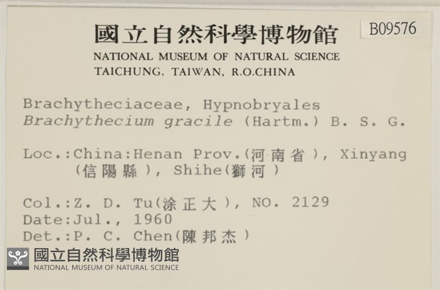 登錄號:B00009576藏品圖，第2張