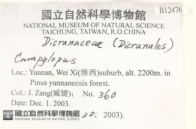 登錄號:B00012476藏品圖，第2張