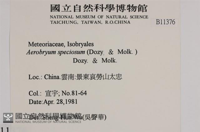 登錄號:B00011376藏品圖，第2張