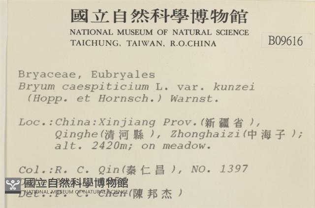 登錄號:B00009616藏品圖，第2張