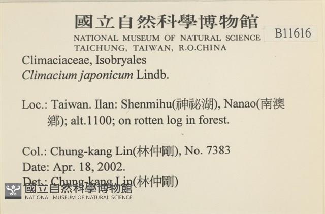 登錄號:B00011616藏品圖，第2張