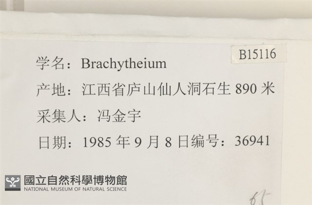 登錄號:B00015116藏品圖，第2張