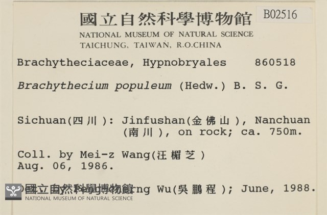 長肋青蘚藏品圖，第2張