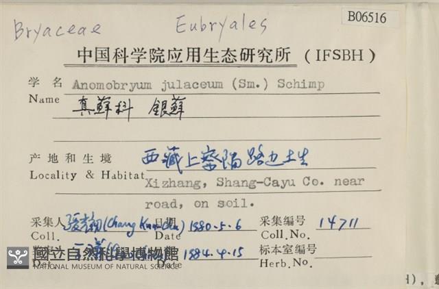 銀蘚藏品圖，第2張