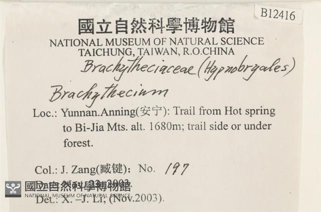 登錄號:B00012416藏品圖，第2張