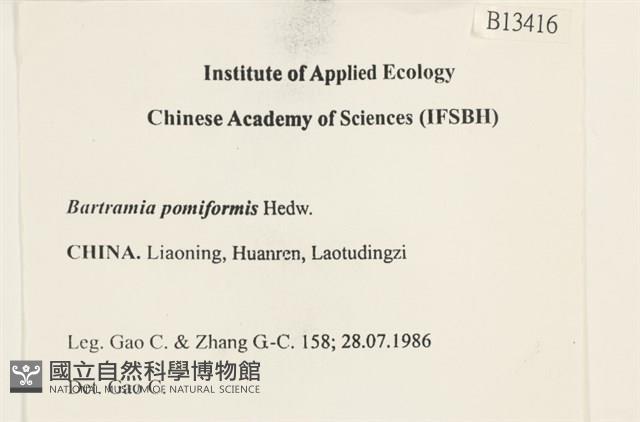 登錄號:B00013416藏品圖，第2張