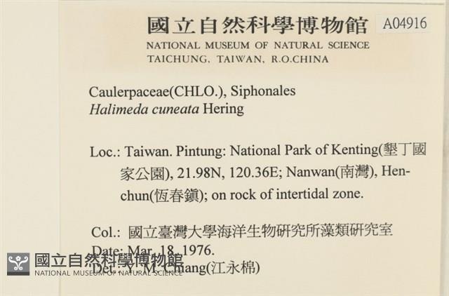 登錄號:A00004916藏品圖，第2張