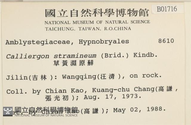 草黃濕原蘚藏品圖，第2張