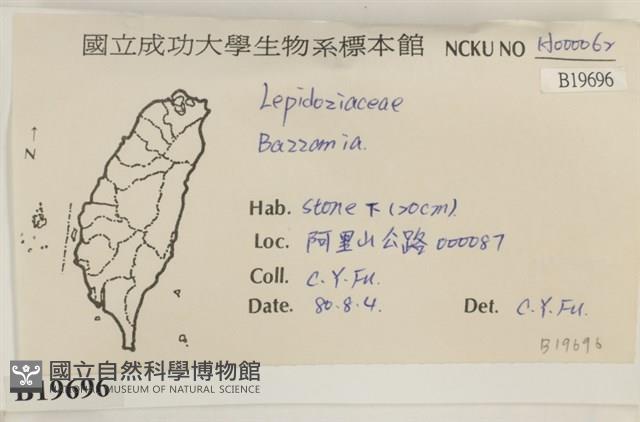 登錄號:B00019696藏品圖，第2張