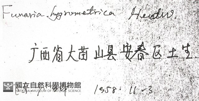 葫蘆蘚藏品圖，第2張