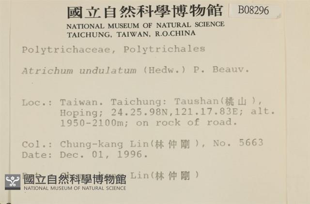 仙鶴蘚藏品圖，第2張