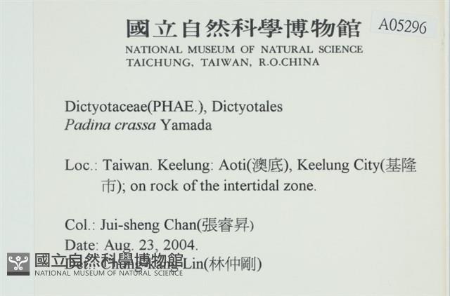 登錄號:A00005296藏品圖，第2張