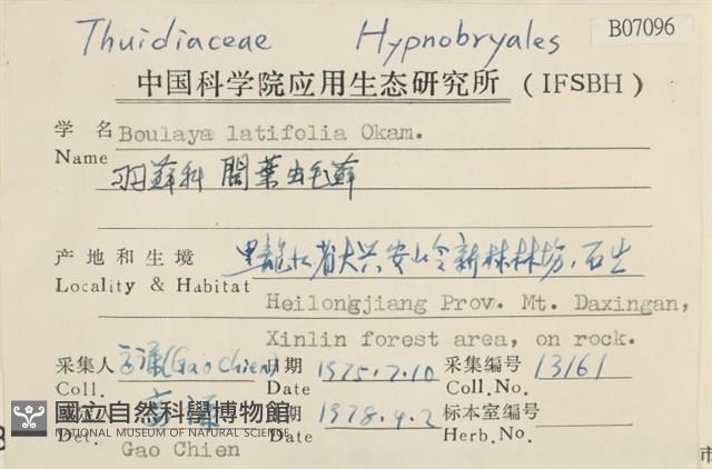 闊葉虫毛蘚藏品圖，第2張