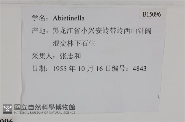登錄號:B00015096藏品圖，第2張