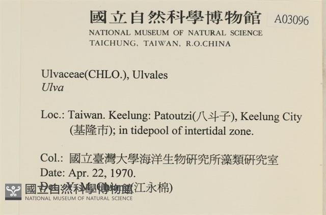 登錄號:A00003096藏品圖，第2張