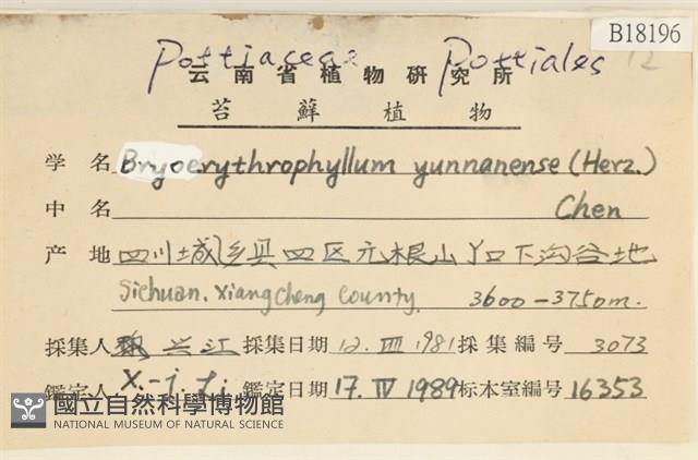登錄號:B00018196藏品圖，第2張