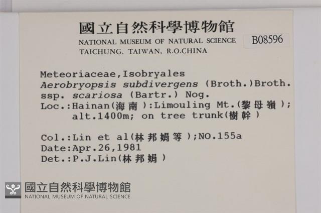 登錄號:B00008596藏品圖，第2張