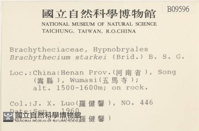 登錄號:B00009596藏品圖，第2張