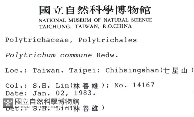 金髮蘚藏品圖，第2張