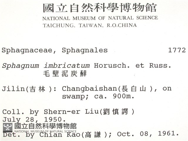 覆葉泥炭蘚, 毛壁泥炭蘚藏品圖，第2張