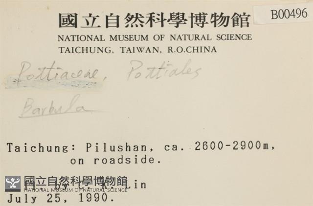 登錄號:B00000496藏品圖，第2張