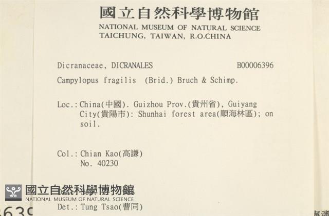 脆枝曲柄蘚藏品圖，第2張