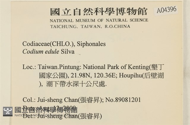 登錄號:A00004396藏品圖，第2張
