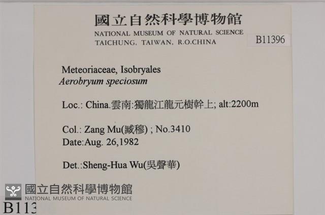 登錄號:B00011396藏品圖，第2張