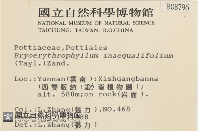 登錄號:B00008796藏品圖，第2張