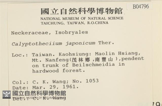 登錄號:B00004796藏品圖，第2張