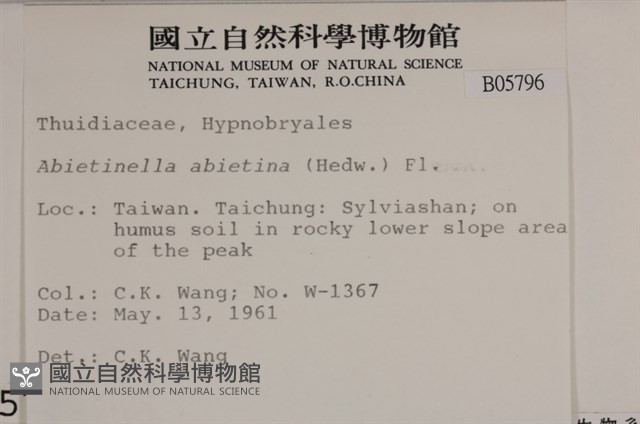 山羽蘚藏品圖，第2張