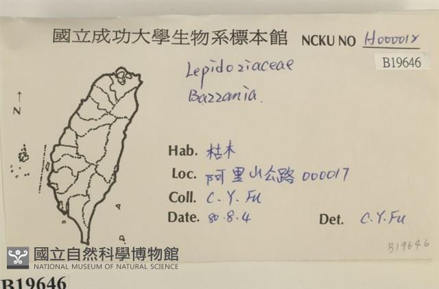 登錄號:B00019646藏品圖，第2張