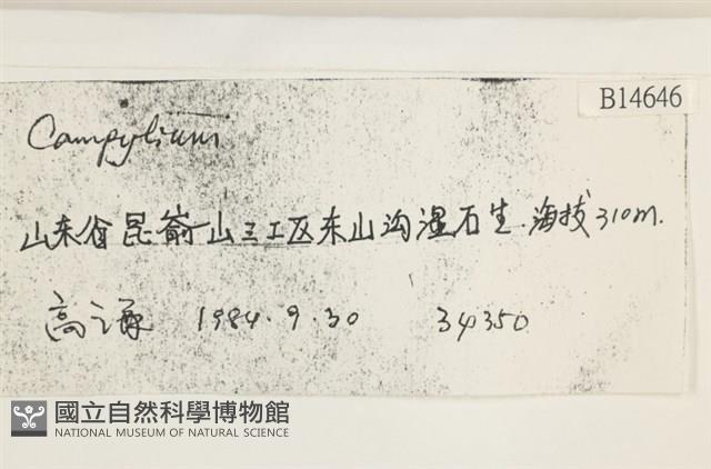 登錄號:B00014646藏品圖，第2張