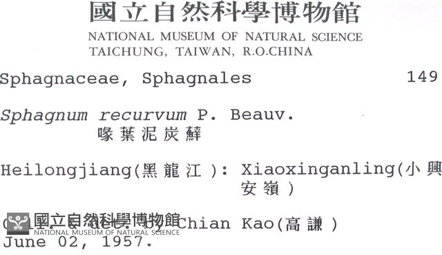 喙葉泥炭蘚藏品圖，第2張