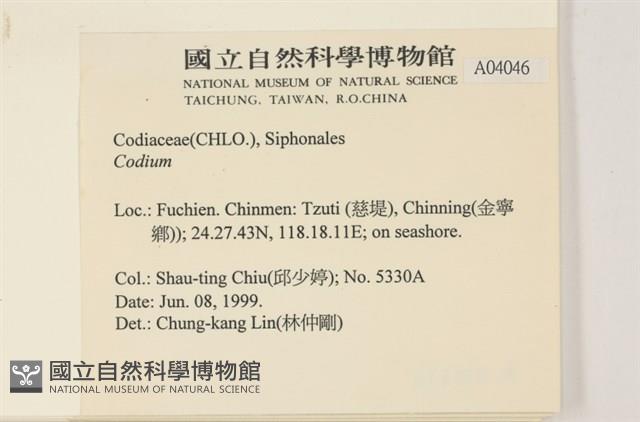 登錄號:A00004046藏品圖，第2張