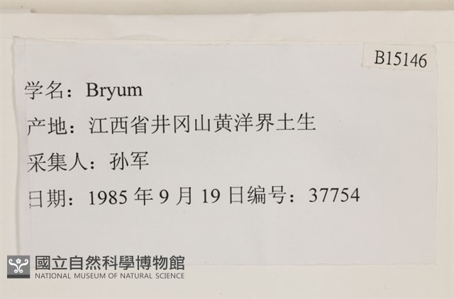 登錄號:B00015146藏品圖，第2張