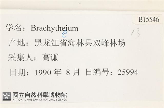 登錄號:B00015546藏品圖，第2張
