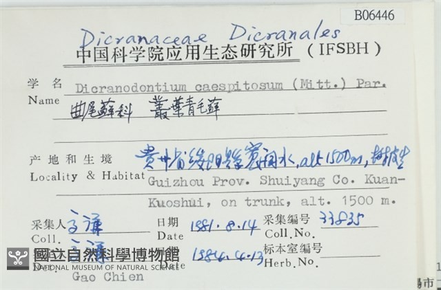 叢葉青毛蘚藏品圖，第2張