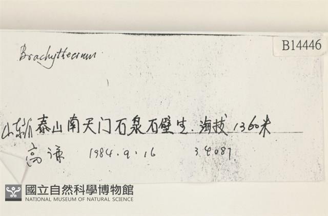 登錄號:B00014446藏品圖，第2張