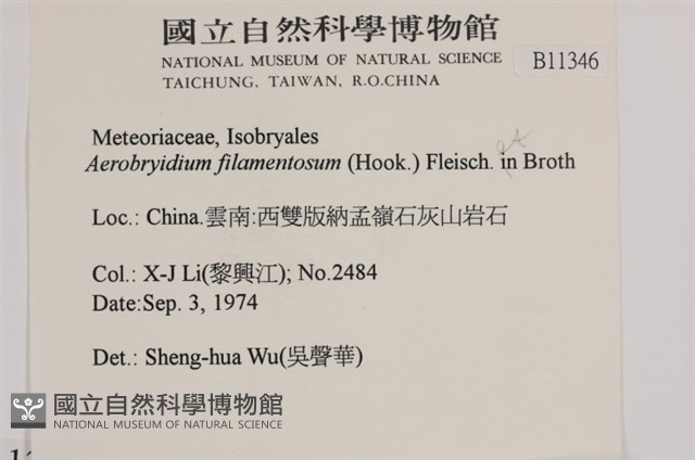 毛扭蘚藏品圖，第2張