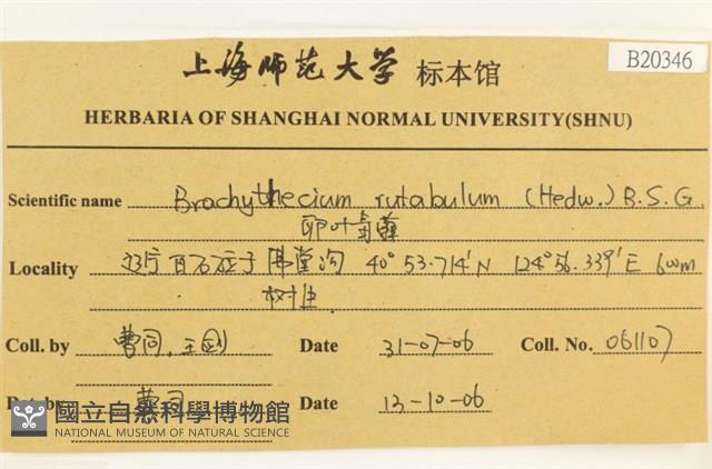 卵葉青蘚藏品圖，第2張