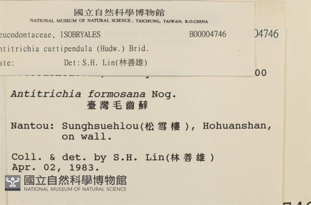 Accession Number:B00004746 Collection Image, Figure 2, Total 2 Figures