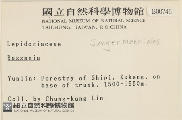 登錄號:B00000746藏品圖，第2張