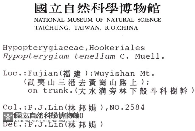 南亞孔雀蘚藏品圖，第2張