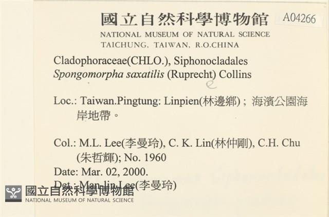 登錄號:A00004266藏品圖，第2張