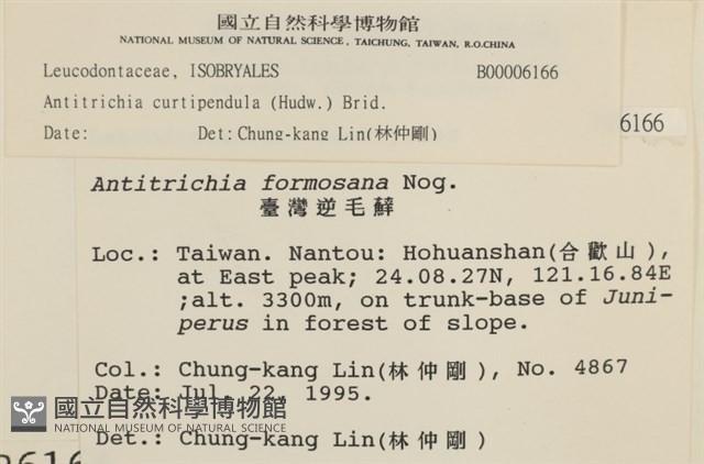 臺灣逆毛蘚藏品圖，第2張