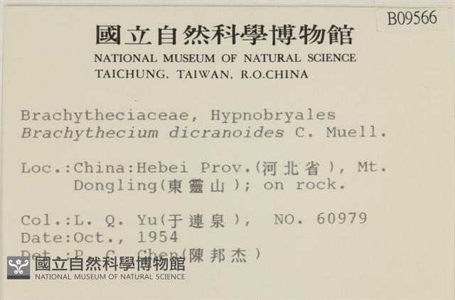 登錄號:B00009566藏品圖，第2張