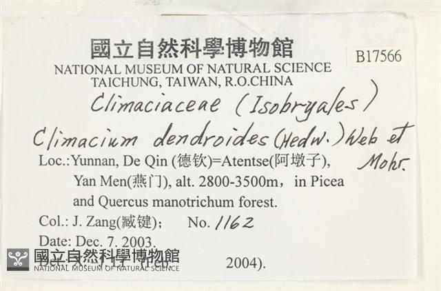 登錄號:B00017566藏品圖，第2張